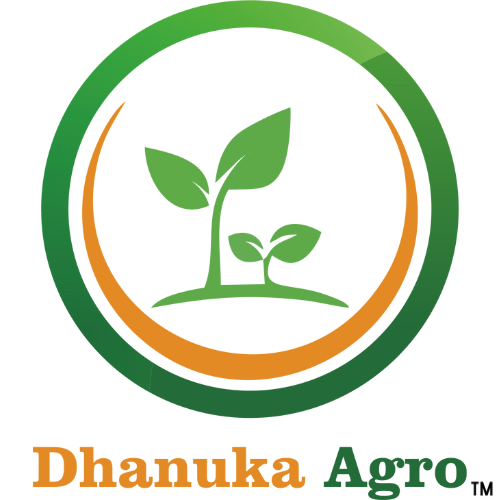 new logo